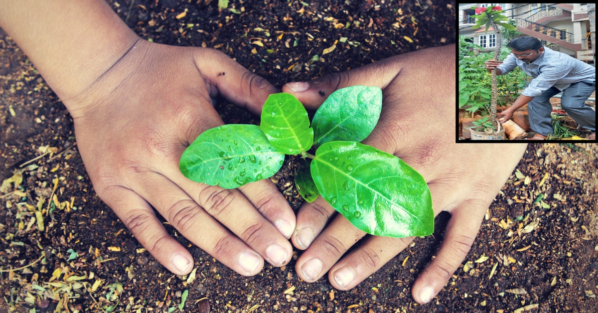 Over 1000 Saplings & Counting: This Cab Driver Is on a Mission to Make Bengaluru Green Again!