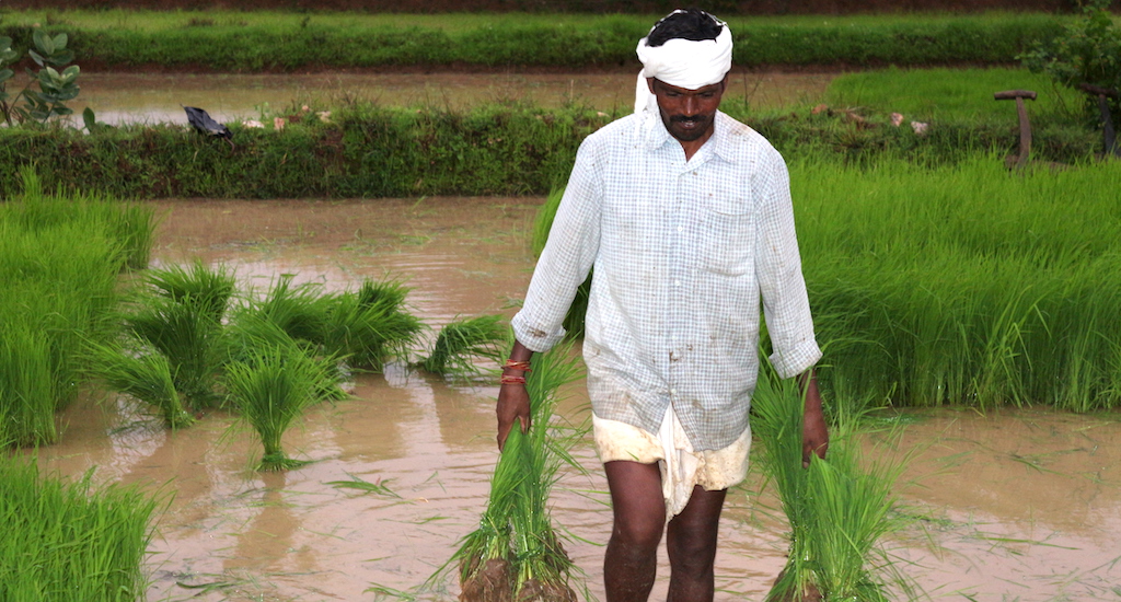 Santlal of Barkheda village actively participates in managing community resources. (Photo By Ishan Agrawal)