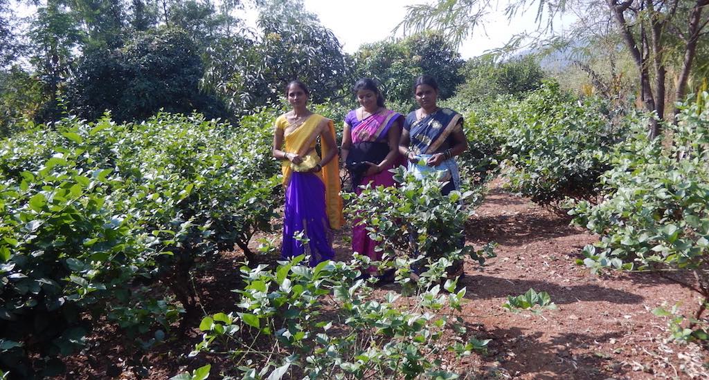 Sangita Mharte guides other women on farming methods for generating a sustained income. (Photo by BAIF)