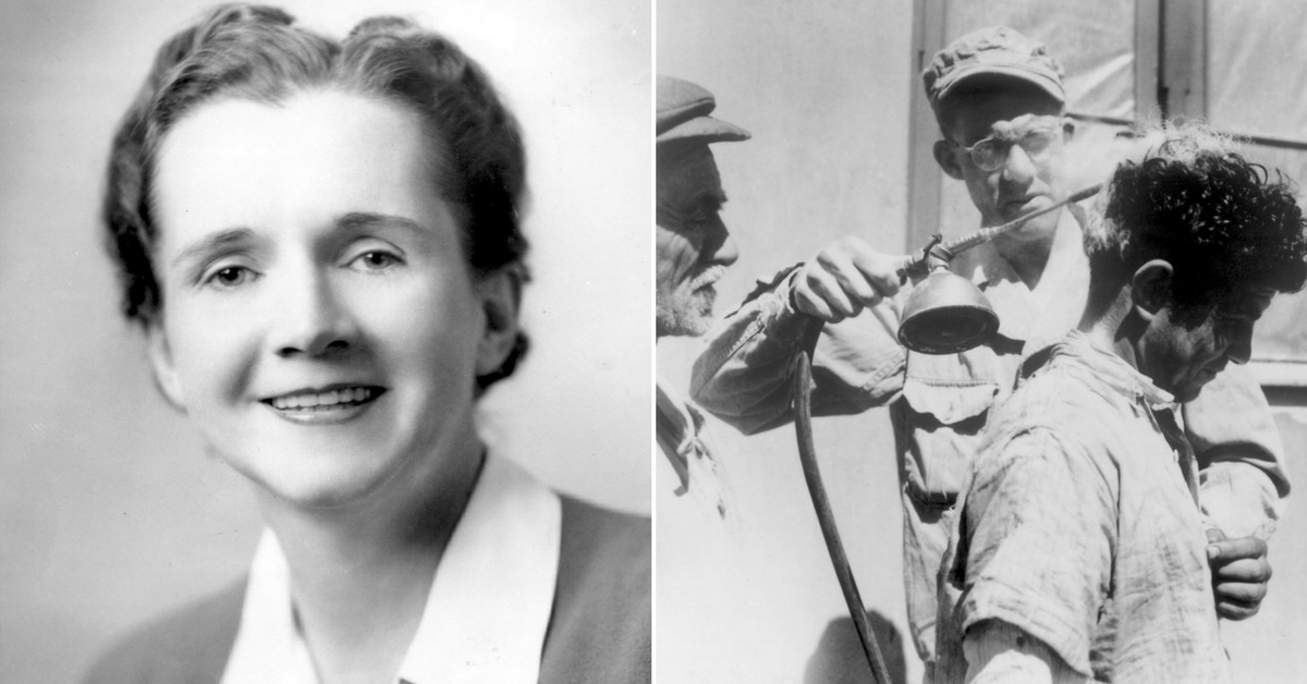 Mocked for Being a ‘Woman Studying Genetics,’ How Rachel Carson Got DDT Banned