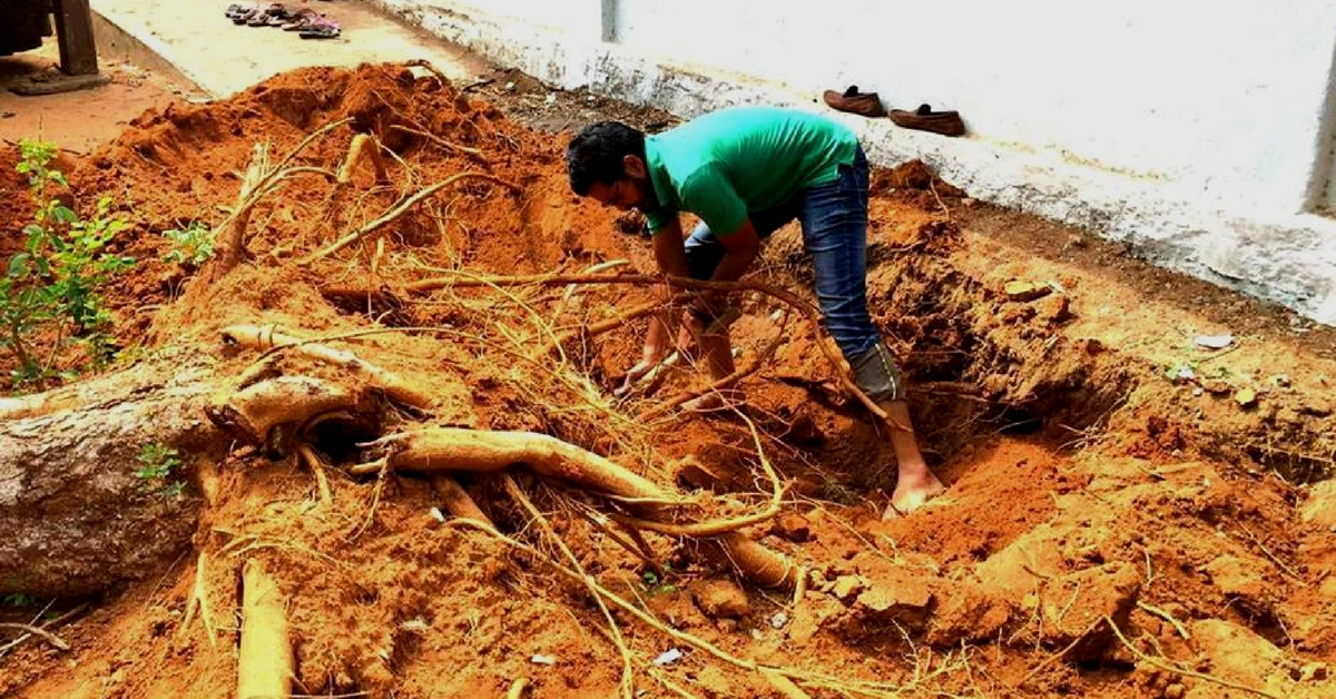 This Hyderabad Organisation is Saving trees – by Moving Them One at a Time!