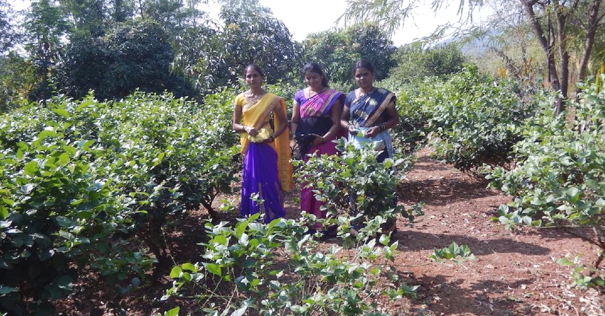 How One Home Maker Became a Paddy Farmer, Floriculturist and a Village Leader