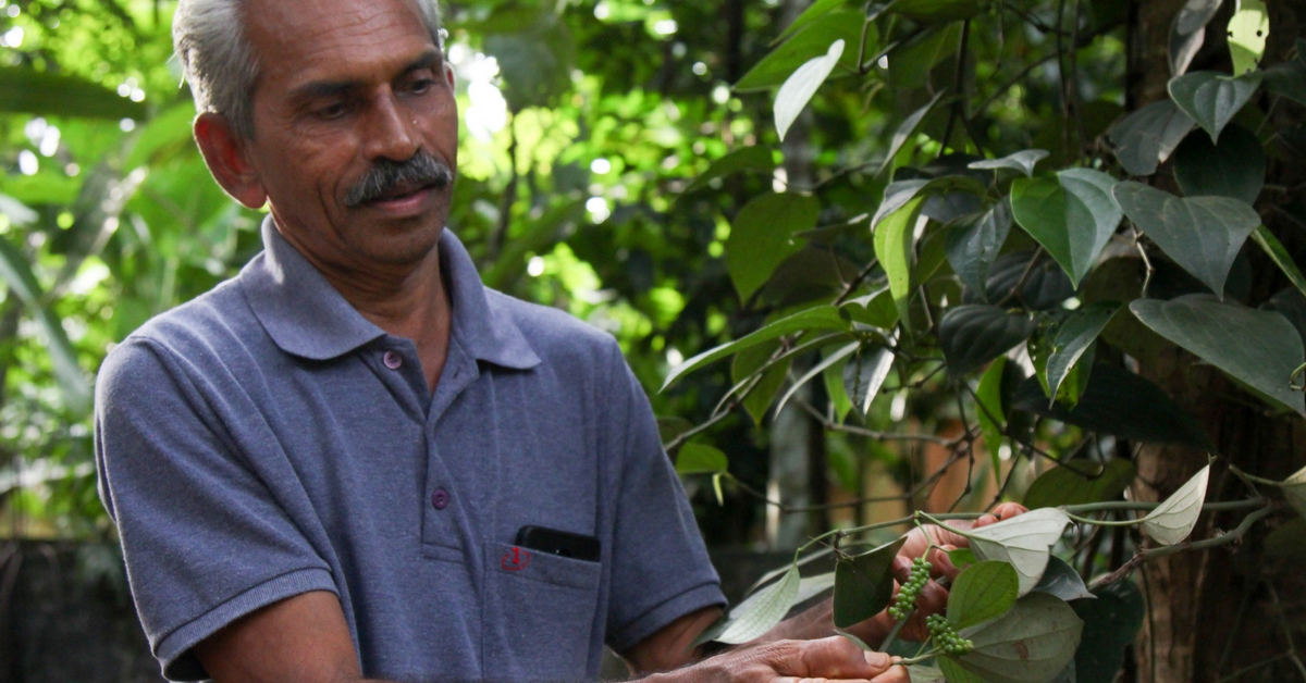 This Organic Farmer in Kerala Is Growing 100 Plant Species on Just 1 Acre of Land!