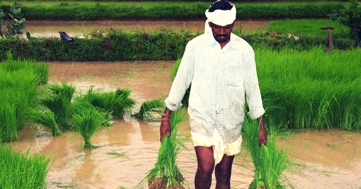 How an MP Village Inspired an Entire District to Use Their Water Bodies in Impactful Ways