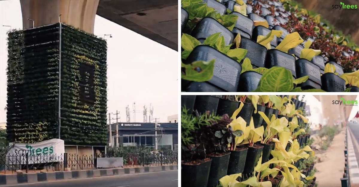 Bengaluru Going Green Again! Second Vertical Garden Finds Its Place in the Garden City!