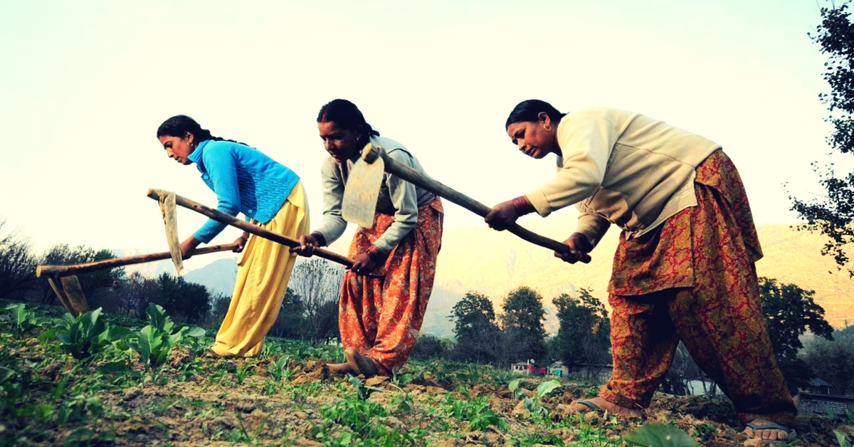 How 3 All-Women Farmer Service Companies Are Empowering Over 2,756 Farmers in Vikarabad!