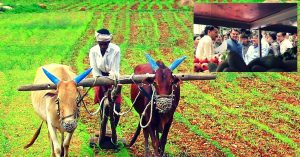 From Farm to Home: Maharashtra Farmers to Reach Consumers Directly With 125 Vans!