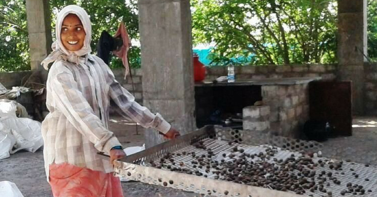 These Three Men Are Connecting Farmers in Andhra Pradesh to the Europe Market