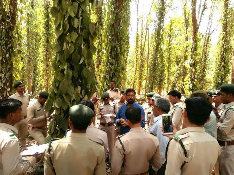 A Banker Turned Farmer, Rajaram Tripathi Is Growing 70 Varieties of Herbs and Helping 22000 Farmers