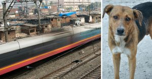 This Motorman Stopped a Local Train in Mumbai to Save a Life - a Dog's!
