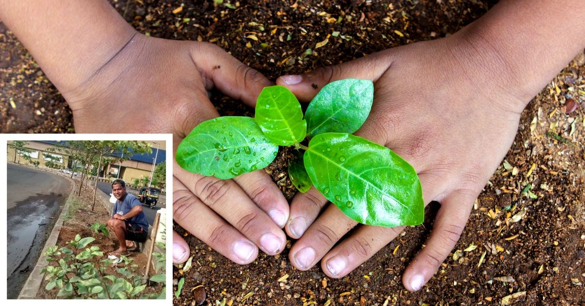 10 Years, 400 Trees: How One Man Is Bringing Back Navi Mumbai’s Green Cover