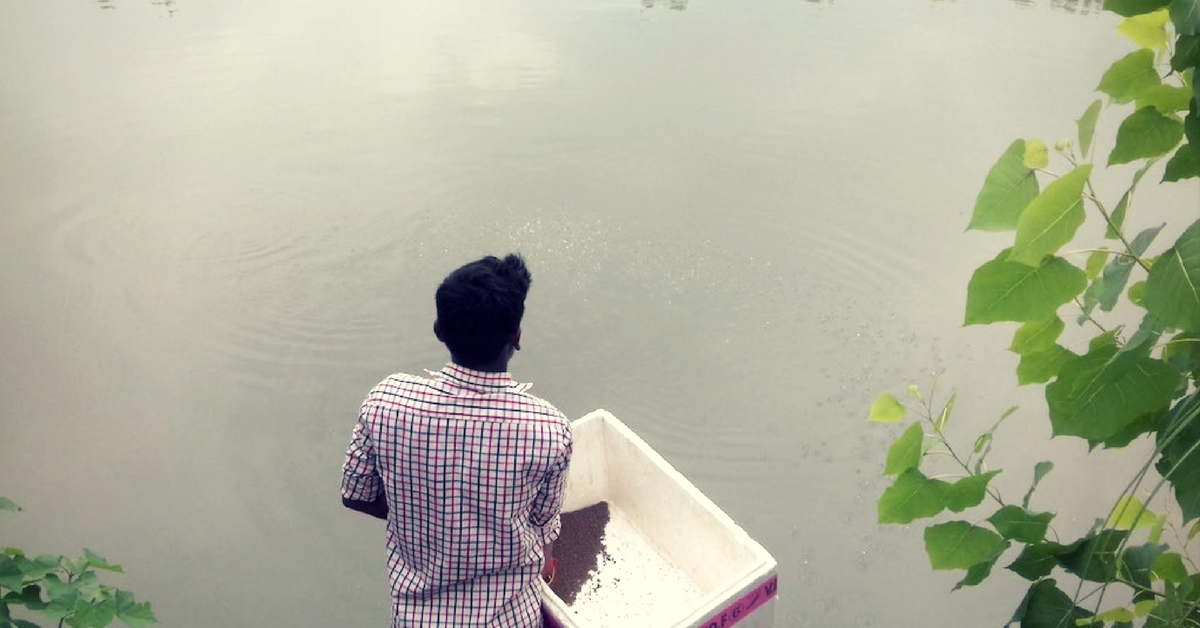 Wetlands Are ‘Wastelands’? Here’s How One Bihar Village Proved Us All Wrong