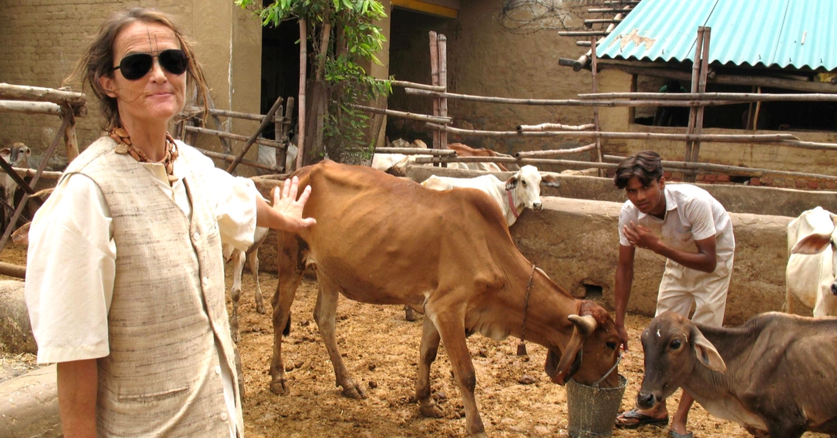 This 59-Year-Old German Woman Has Saved 1,200 Cows in Mathura!