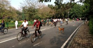 Fitness on Wheels: Bengaluru's Cubbon Park to Soon Introduce Cycles for Rent