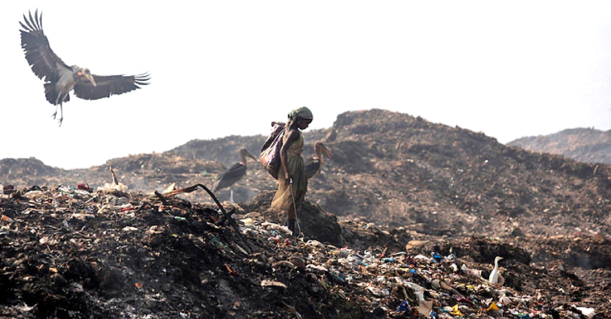 Here’s How Officials Will Clear Garbage from Chennai’s Largest Toxic Dumpyard