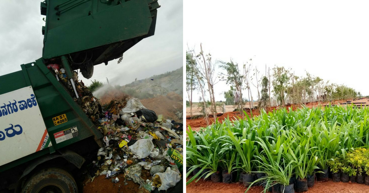 How This Bengaluru Quarry Went From Garbage Dump to Beautiful Park