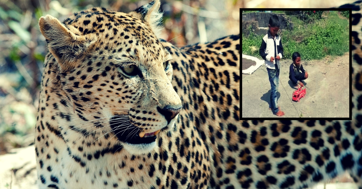Amazing! This 7-Year-Old Boy From Gujarat Rescued His Friend From a Leopard Attack