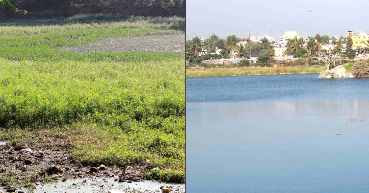 Wake the Lake: How This Campaign Helped Revive 16 Lakes in Bengaluru
