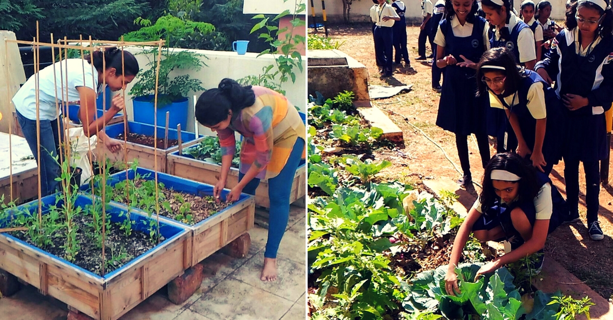 pune-techie-organic farming (1)