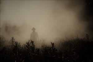 Burning crop stubs