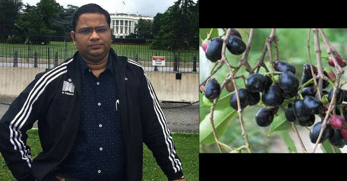 Jamun Seeds Could be the Answer to India’s Water Contamination, Says This IIT Prof!