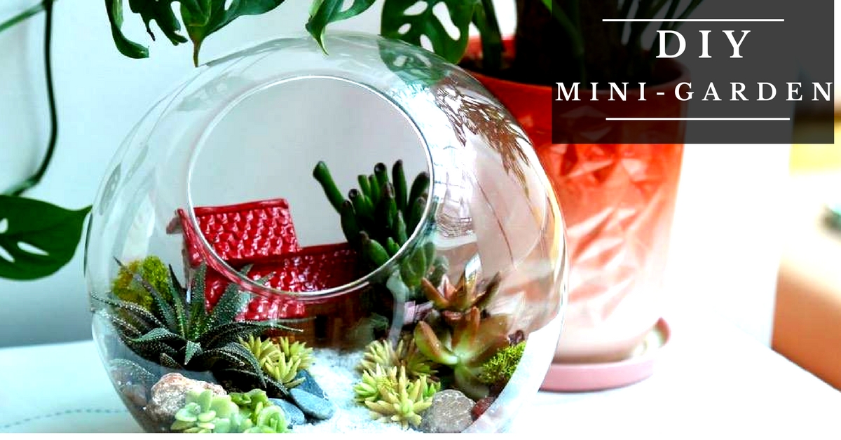 Use this as inspiration to build your own fun little terrariums. in 2024