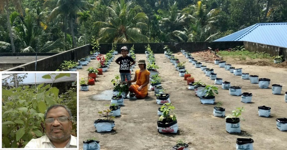 How A Kerala Contractor Converted His Terrace To An Oasis Of Vegetables