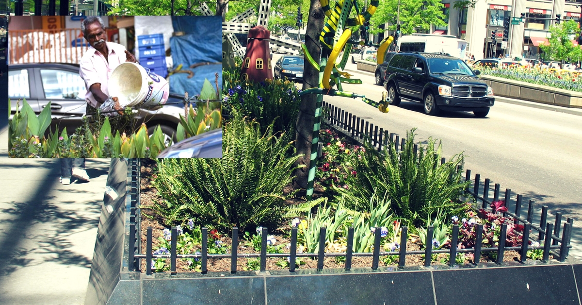 How a 54-Year-Old Thiruvananthapuram Union Worker Made an Arid Road Bloom With Flowers!