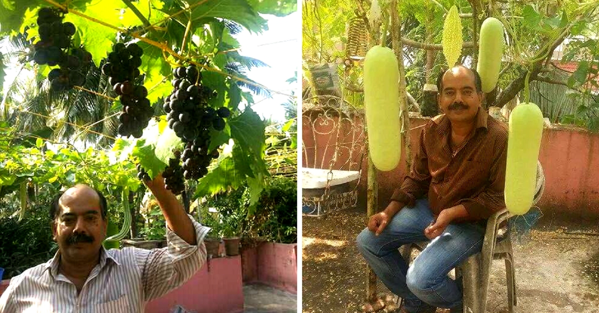 Jackfruits and Grapes in a Pot? This Mangalore Man Has Been Doing it For Years!