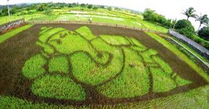 How Japan's Unique Paddy Art is Revitalising a Tiny Maharashtrian Village
