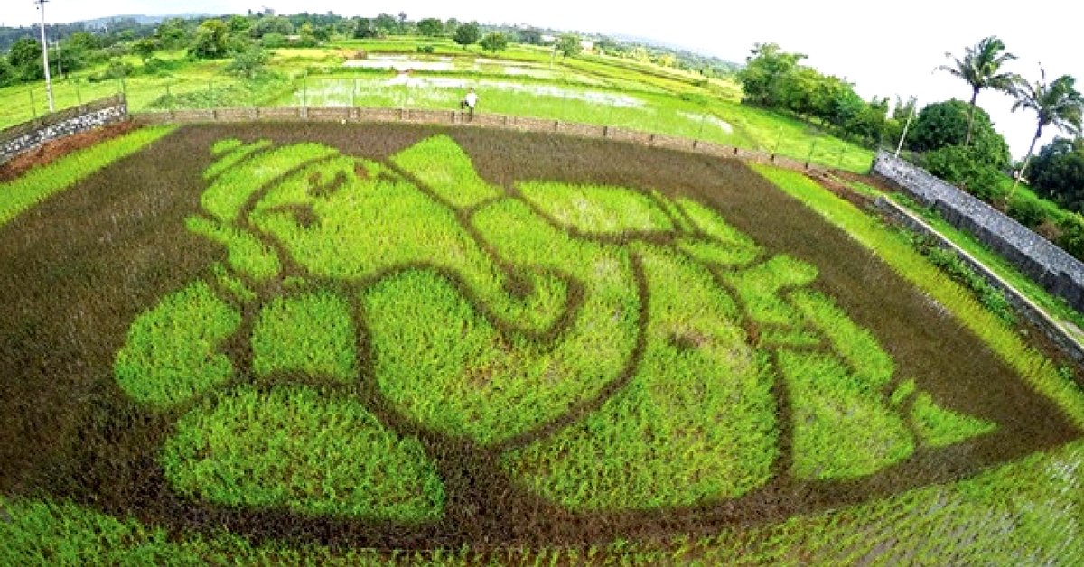 How Japan’s Unique Paddy Art is Revitalising a Tiny Maharashtrian Village