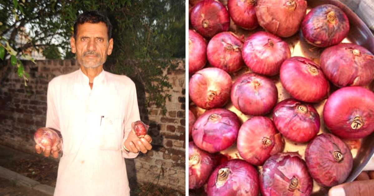 After 17 Years, Farmer Balwan Has Created a Bigger, Better Onion All by Himself