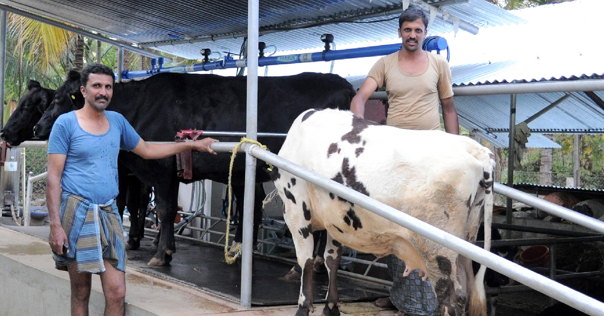 Organic Milk at Your Door Step Now, Thanks to 9 Techies and a Veterinary Doctor!