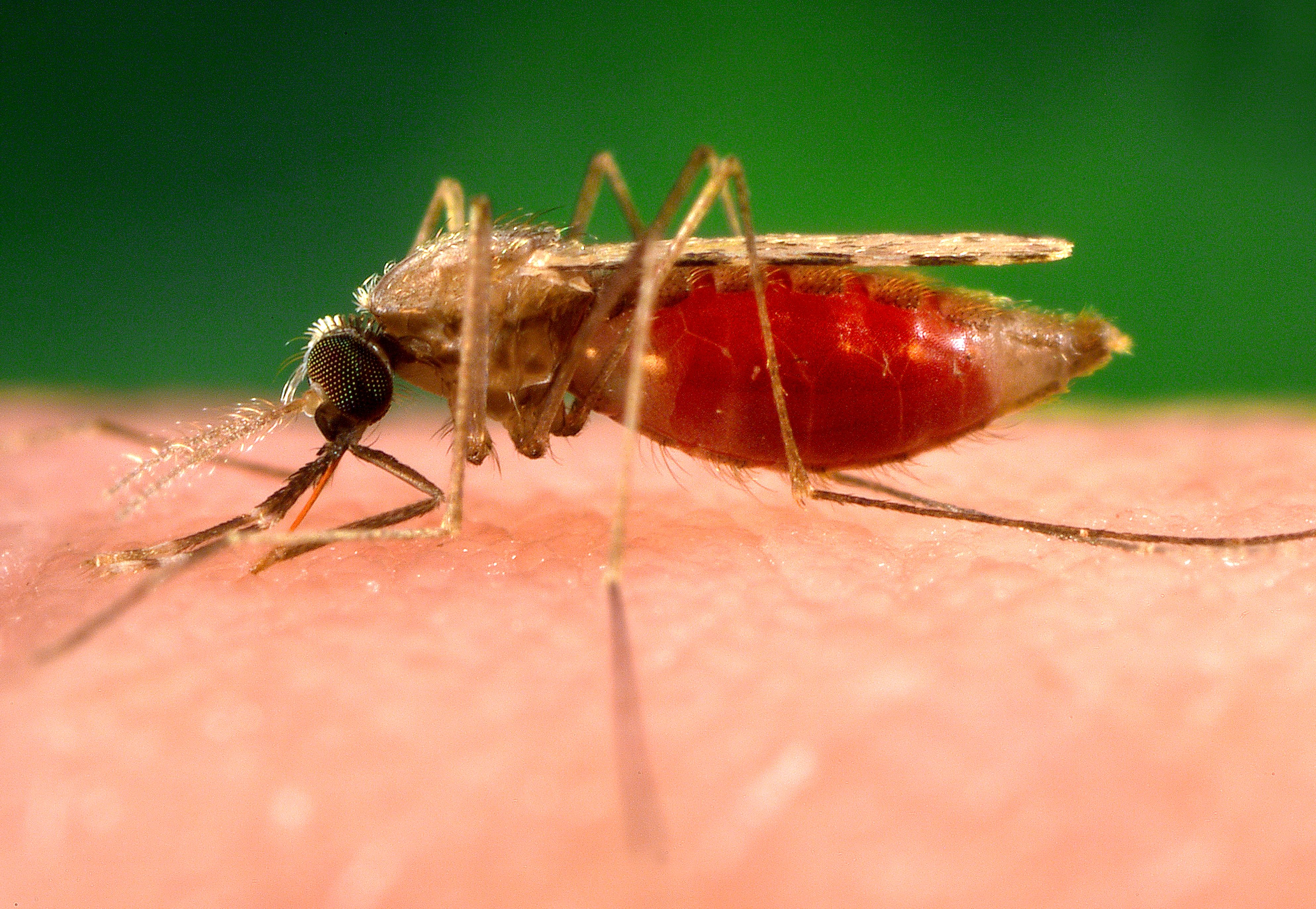 First Malaria Vaccine in India