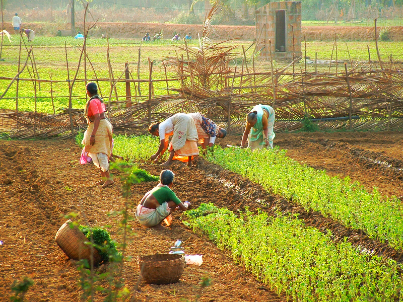 poverty in India