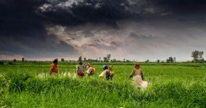 5 Innovative Ways for Farmers to Fight Pests Without Using Any Chemicals