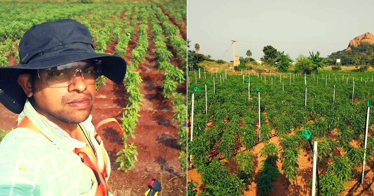 Bengaluru techie - Rangamalai organic farms- Pradeep Kumar