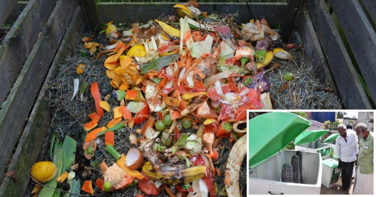 These Green Bins in Kozhikode Creates Manure out of Household Waste!