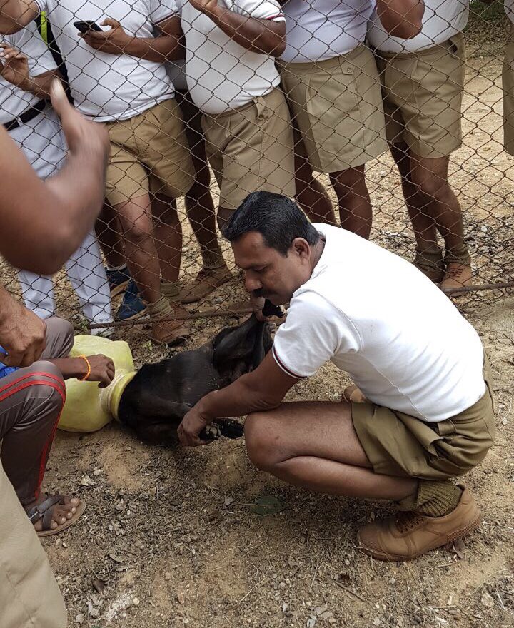 15 Bengaluru Cops Come Together to Rescue a Dog Having a Very Bad Day Indeed