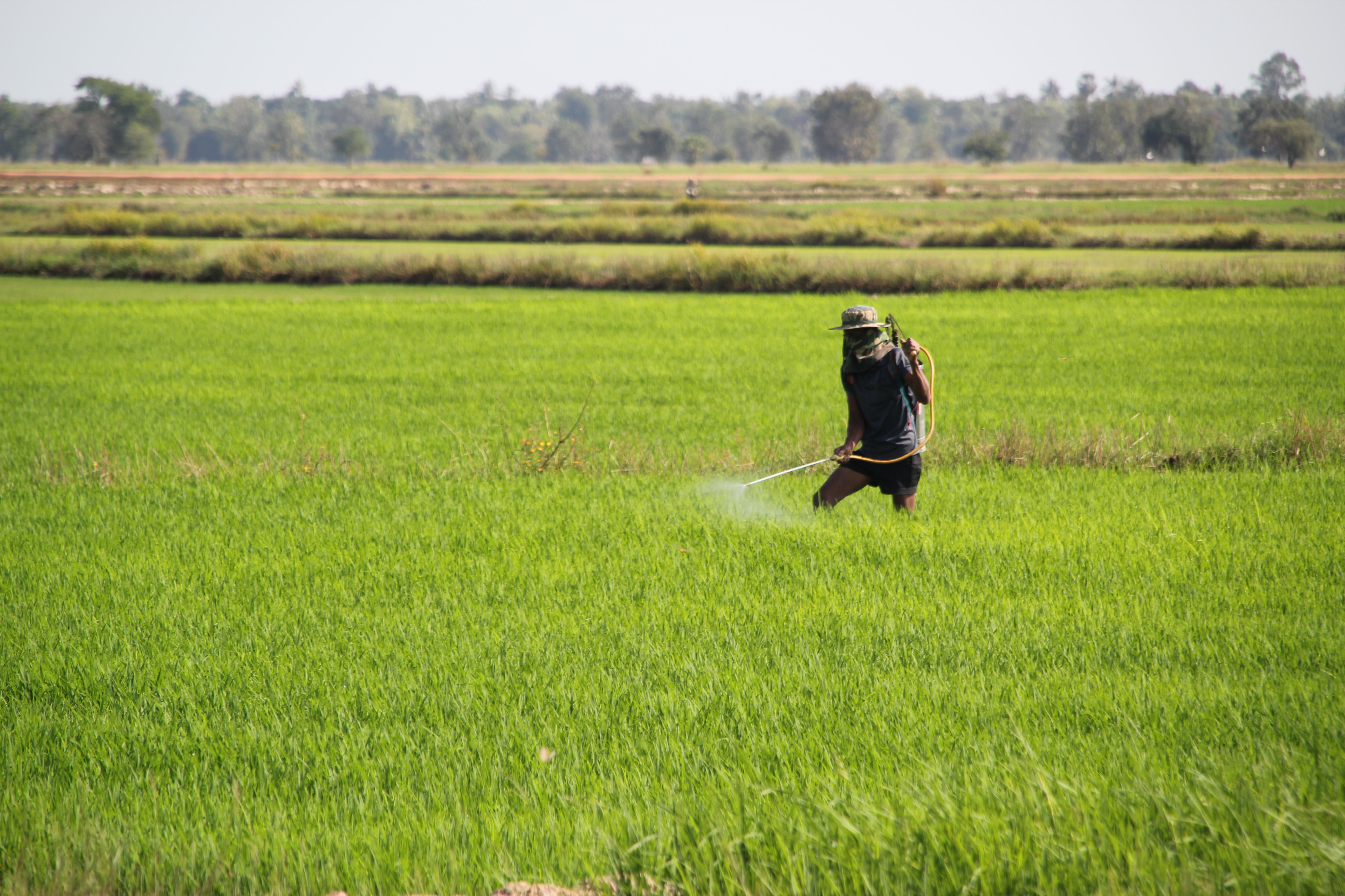 karnataka-farmers-now-can-go-hi-tech-to-spray-fungicide-on-their-trees