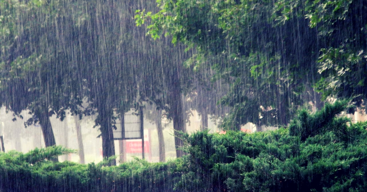 Heavy Rainfall. Picture for representative purposes only. Picture Courtesy: Wikimedia Commons.