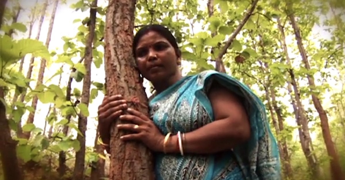 This Tribal Lady & Her Band of Women Saved 50 Hectares of Forests for 20 Years!