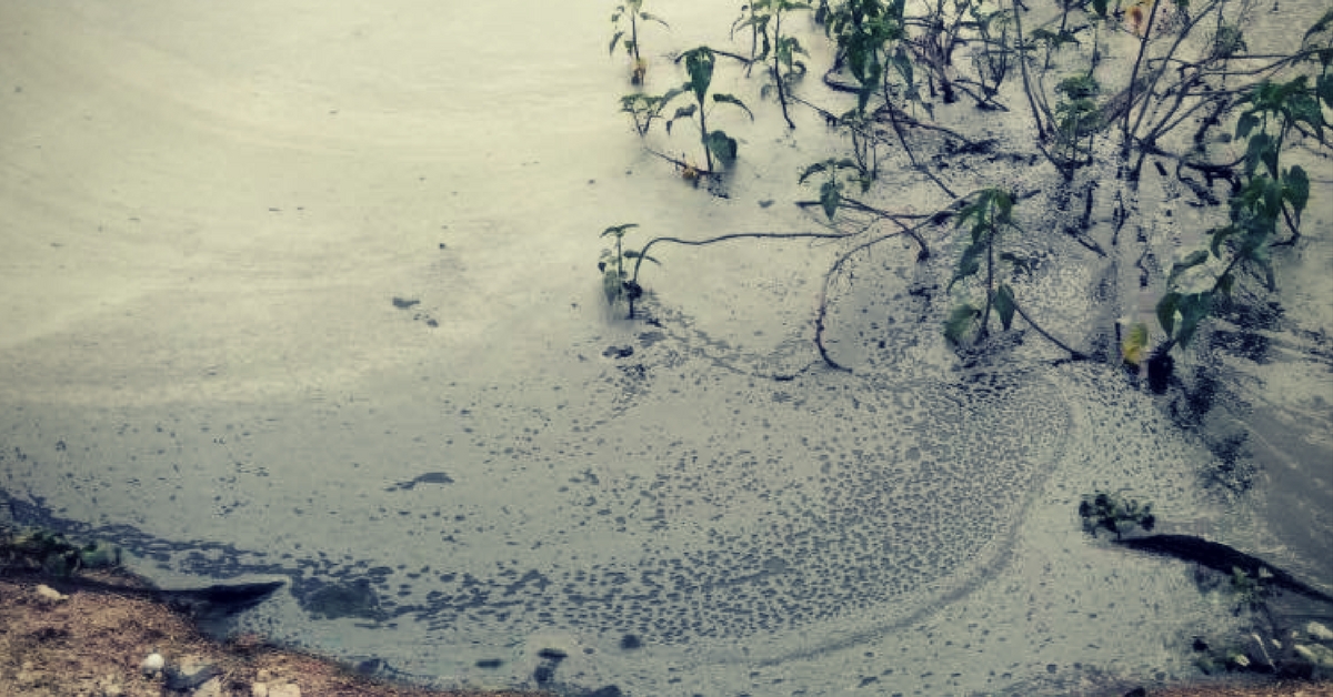 Water Is Precious and This Hyderabad Lady Is Going All out to Save Every Drop!