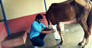 This Abandoned Horse Has a Prosthetic Limb, but Now He Needs You Help!