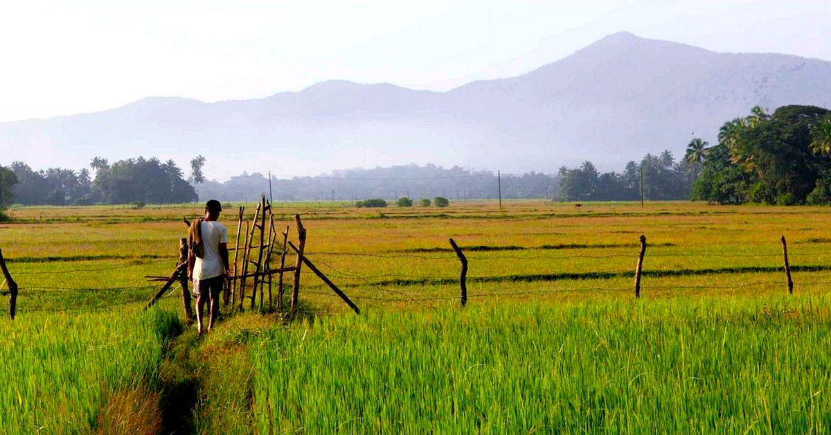 Which Are the Best Places in India to Grow Organic Crops? This Digital Map Has the Answer