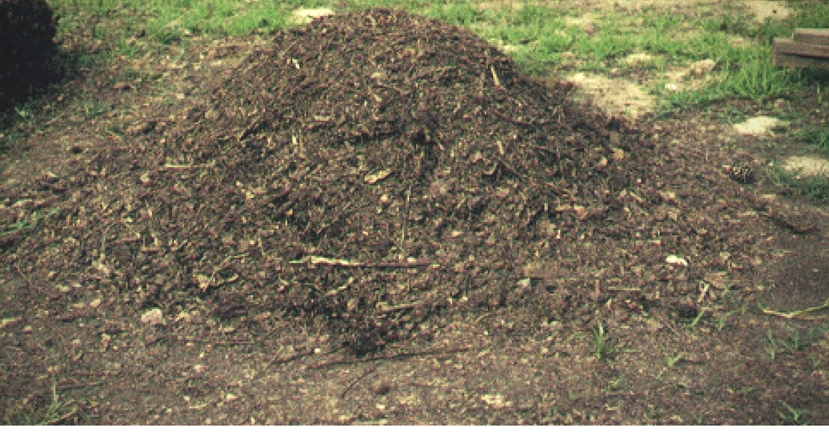 Pile of compost. Picture for representative purposes only. Picture Courtesy: Wikipedia.