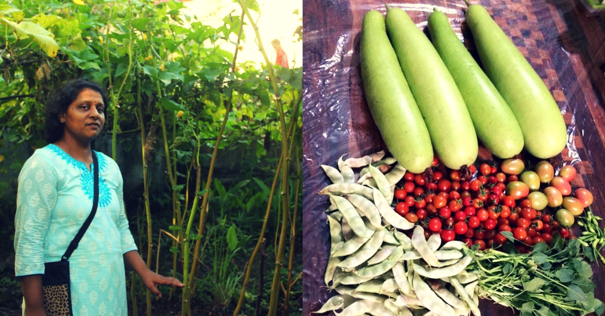 Pune Woman Transforms 3,500 Sqft Plot Into Organic Garden That Feeds Three Families