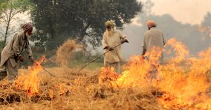 This ₹20 Bottle of Solution Is Punjab Farmers' Answer to Stubble Burning