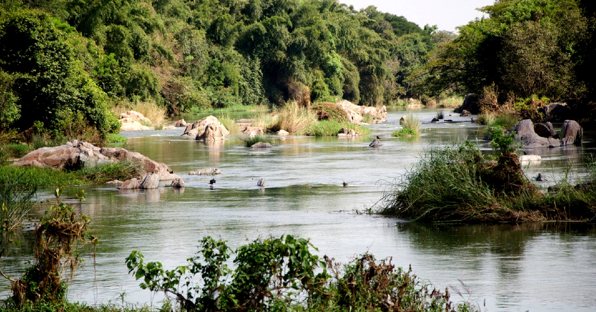 Tech Giants Join Hands to Restore Mahadevapura Lake in Bengaluru