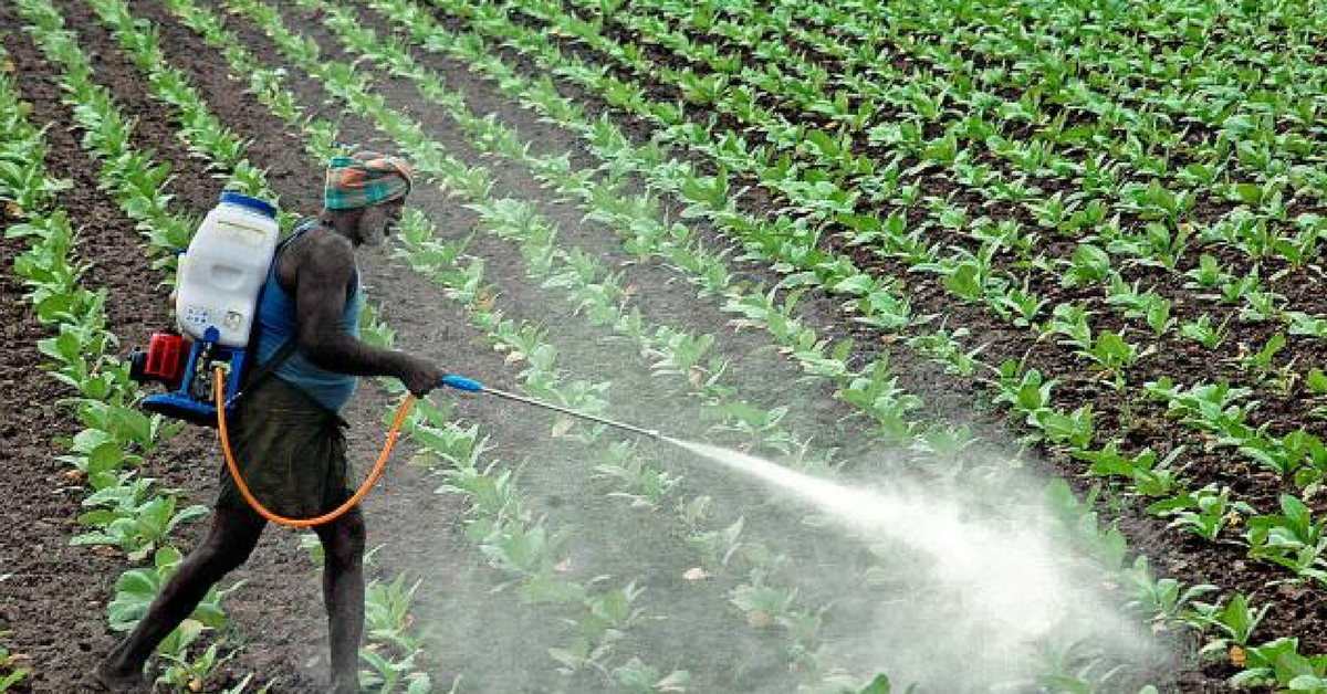 Maharashtra Cracks Down on Chemicals, Farmers to Get ‘Prescriptions’ for Pesticides
